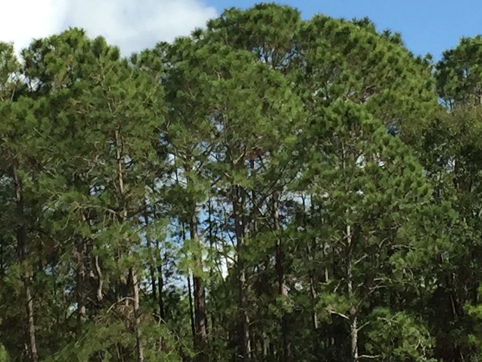 2nd image of Parcel Id 04462-011-000 #20