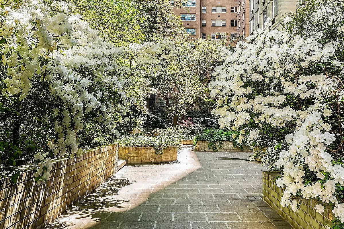 333 East 56th Street — Photo 4