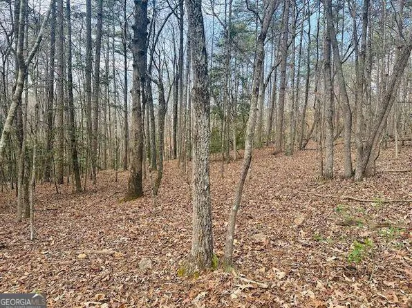 28 Fern Park Dr, Dawsonville, GA 30534