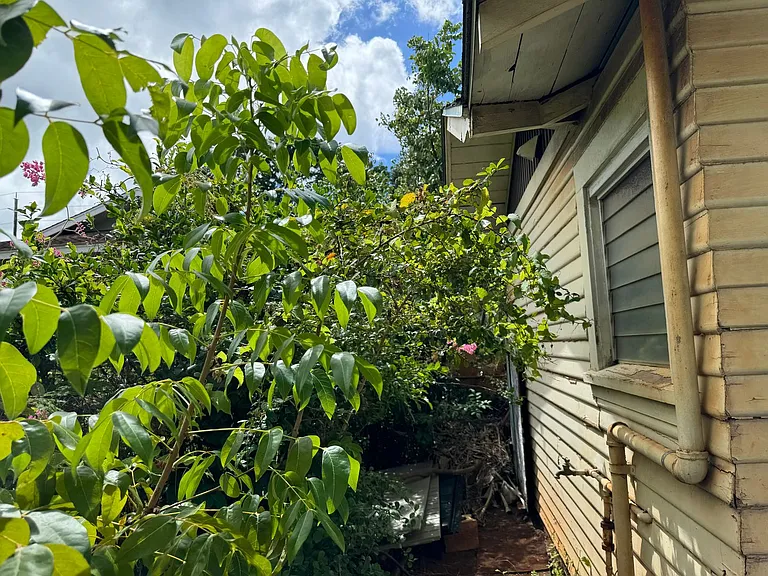 3340 Kaimuki Ave — Photo 39