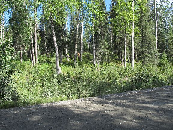 3rd image of NULL-L8D Diamond Willow Ln