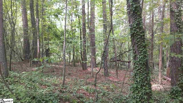 2nd image of 125 Rutledge Lake Rd