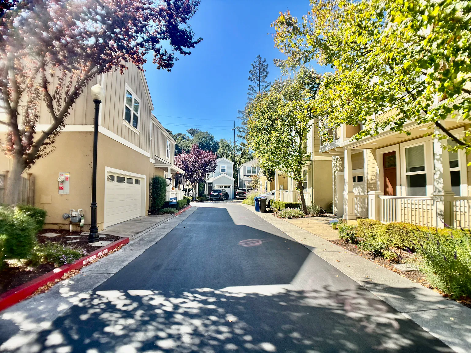 3 bed, 2.5 bath, 1390 sqft, $5,495 — Photo 4