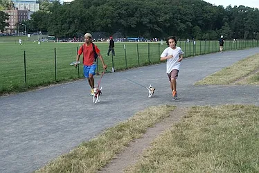 Rented by Keller Williams Realty Group