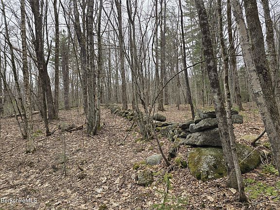 4th image of Magee Rd