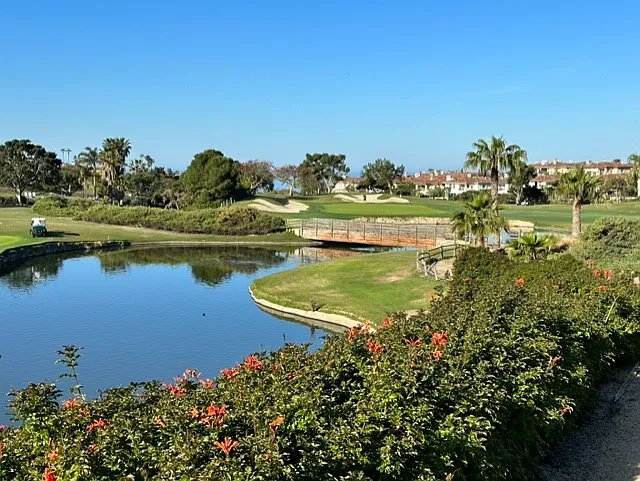 26 San Raphael — Photo 35