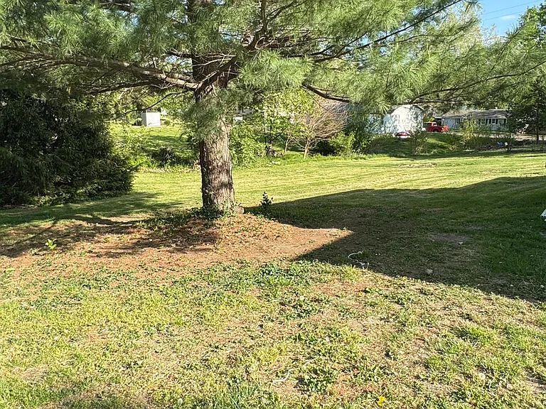 Large Yard