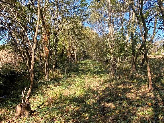 5th image of 1764 Hallie Ln