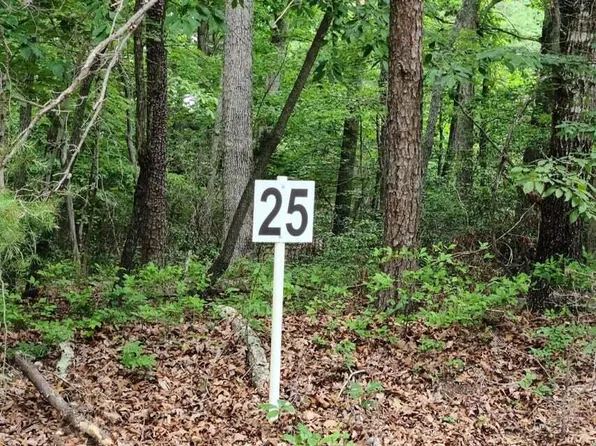 25 Belle Isle Dr, Union Hall, VA 24176