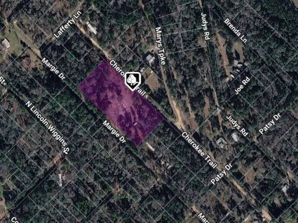 220 Cherokee Trl, Livingston, TX 77351