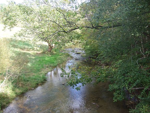 Big Walker creek