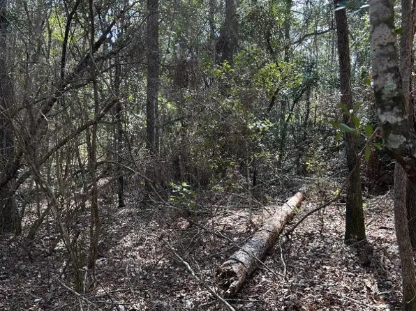 0 Travis St, Brewton, AL 36426