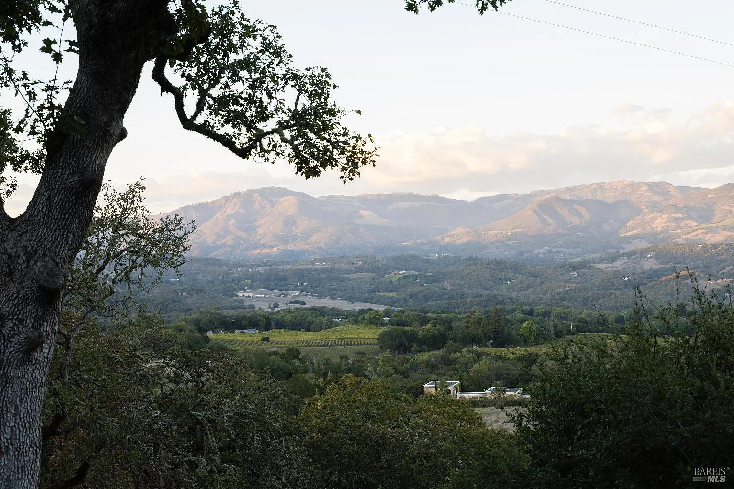 6640 Sonoma Mountain Road - Photo 8