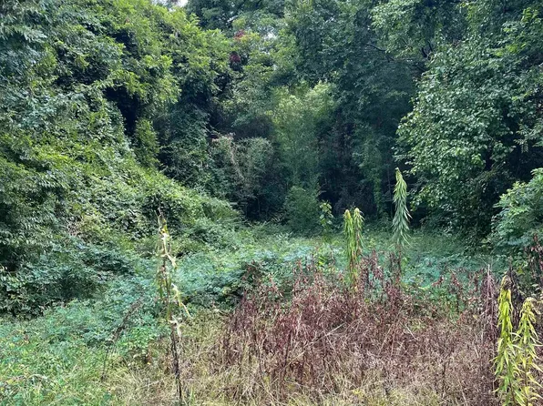 1709 Plant, Hooks, TX 75561