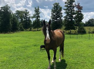 3175 Baseline Rd, Allardt, TN 38504