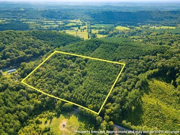 366 Redman Ln, Decatur, TN 37322