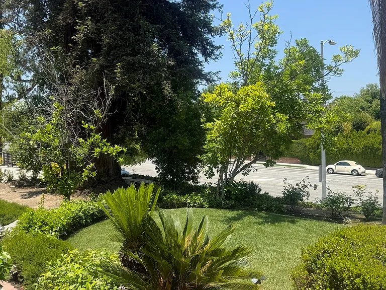 24316 Burbank Blvd — Photo 4