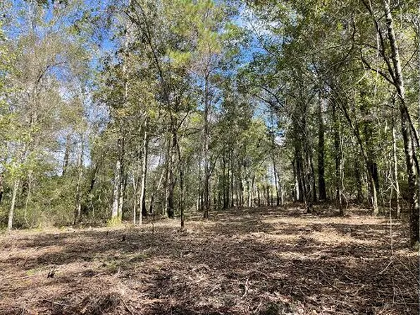 10 State Highway 27, Ridgeville, SC 29472