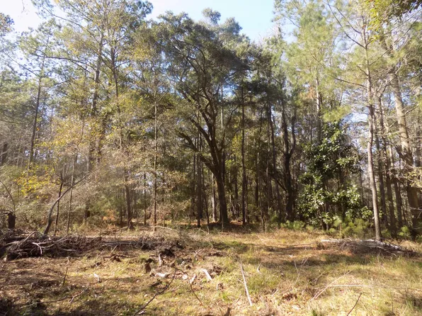 2323 Highway 174, Edisto Island, SC 29438