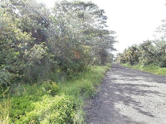 2nd image of 17th St Lot 628