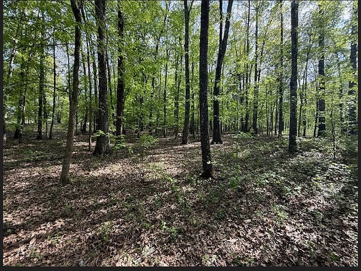1st image of Pleasant Grove Rd