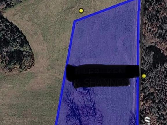 2nd image of 113 Madelyn Ln