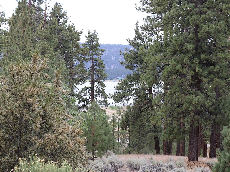 Gorgeous View of the Lake