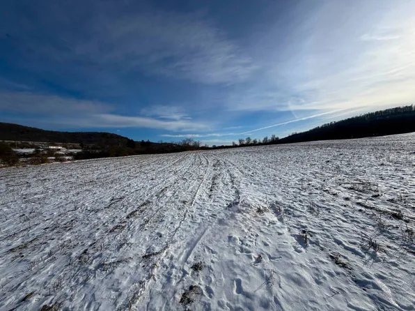 Vl Co Rd #20-14, Cuba, NY 14727