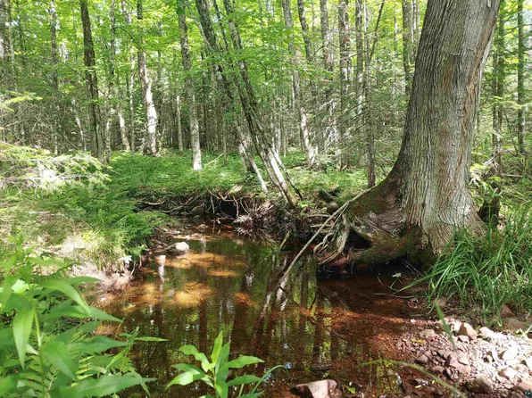 16 Gun Club Rd, Two Harbors, MN 55616