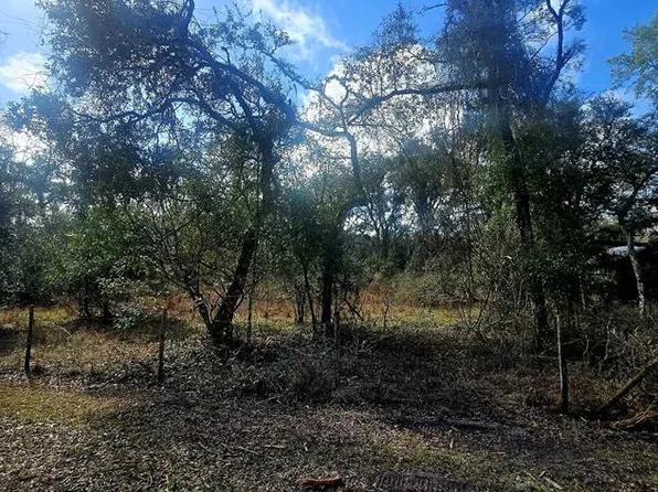  SE 181st Ave, Old Town, FL 32680