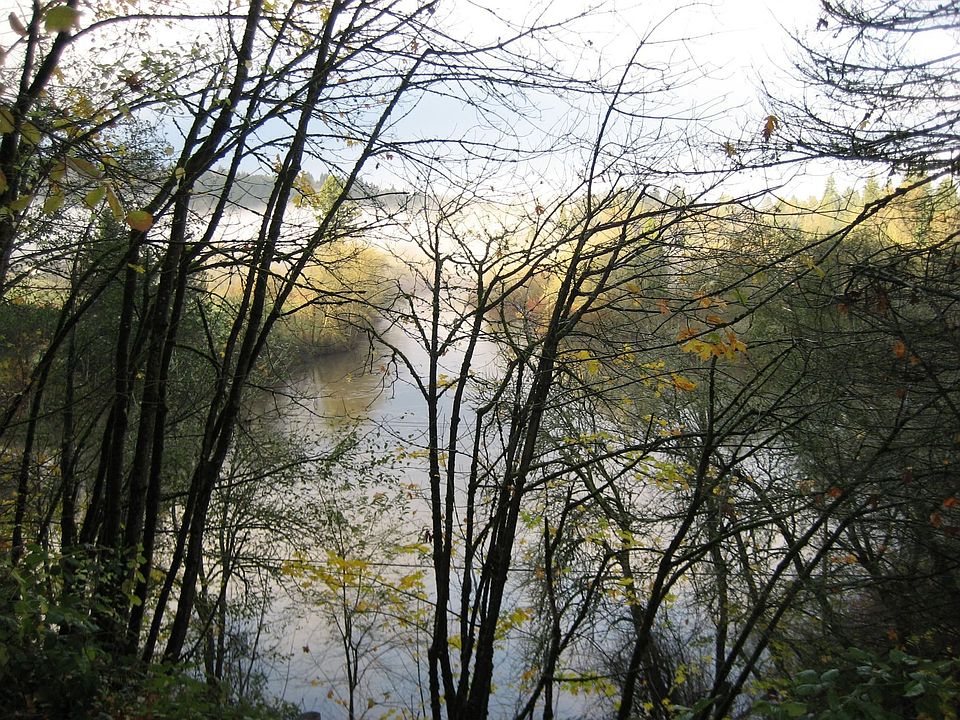 2nd image of 23020 Johnson Rd
