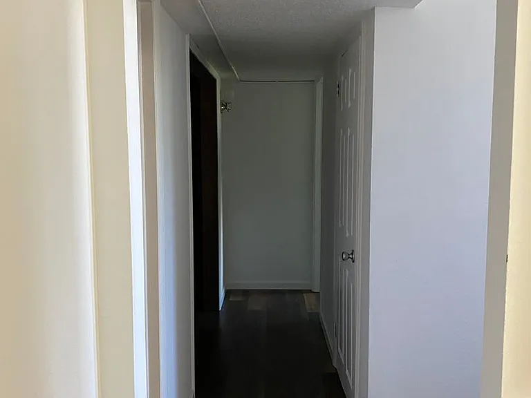 883 Roanoke Dr — Photo 13