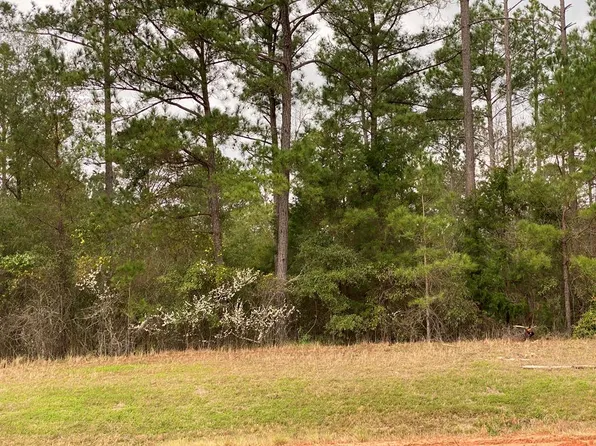 0 Peach Orchard Rd, Richland, GA 31825