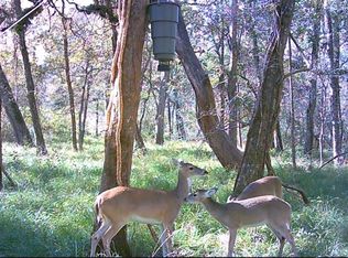 0 Squirrel Holw, Damon, TX 77430