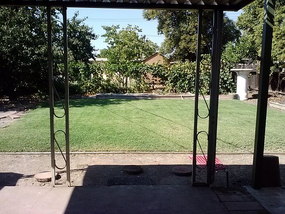 backyard_08222014