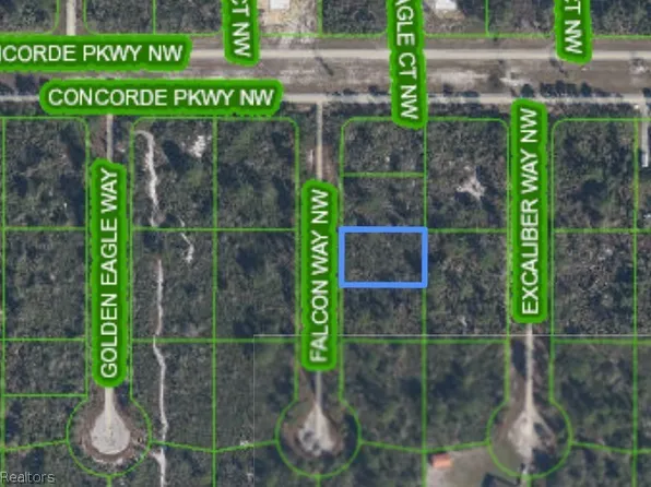 206 Falcon Way NW, Lake Placid, FL 33852