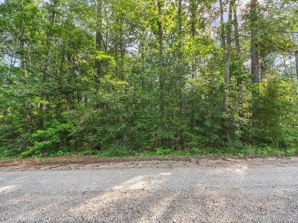 81 Bluebird Ln, Brookeland, TX 75931