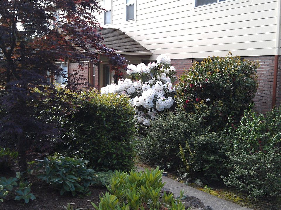 Back Door