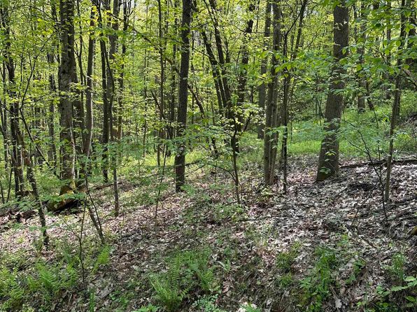 LOT Sand Bank Rd #C, Masontown, WV 26542