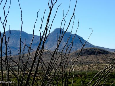 E Walnut Springs Rd #47, Douglas, AZ, 85607