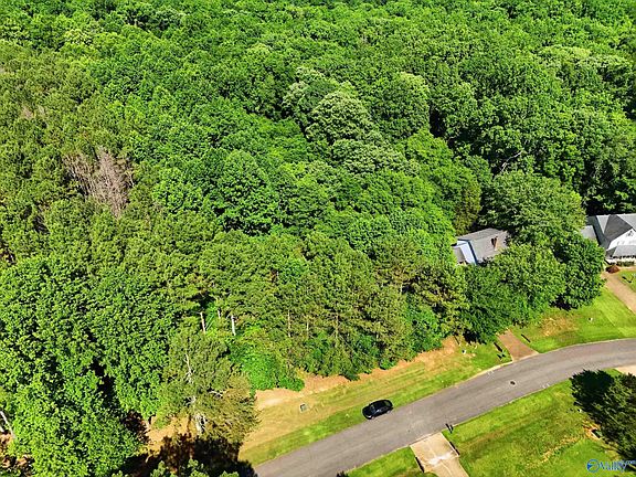 2nd image of LOT 1 Poplar Dr