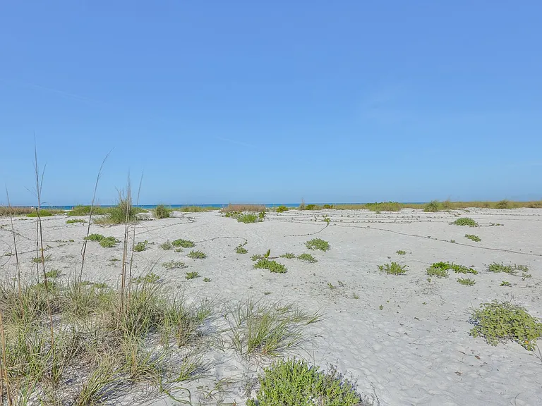 10220 Gulf Blvd #1 — Photo 29