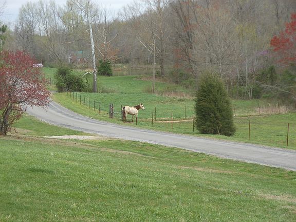 looking left from front yard