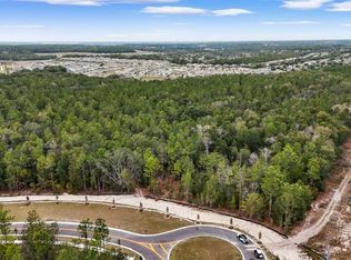 5937 Stoneybrook Hills Pkwy Lot 4, Mount Dora, FL 32757