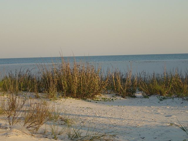Gulf Front Lot