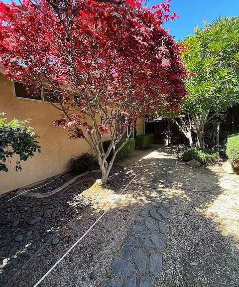 371 Chardonnay Dr — Photo 6