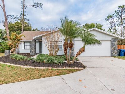 4716 Sheffield Rd, Land O Lakes, FL, 34639