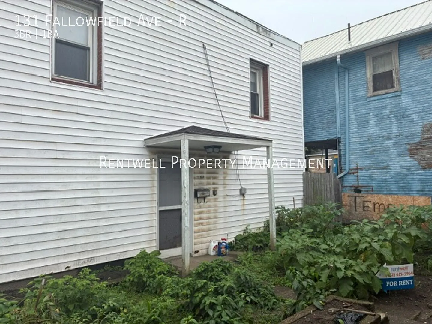 Private 3-Bedroom Rear-Unit Home with Spacious Basement — Photo 2