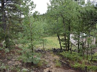 141 Lake View Dr, Black Hawk, CO 80422