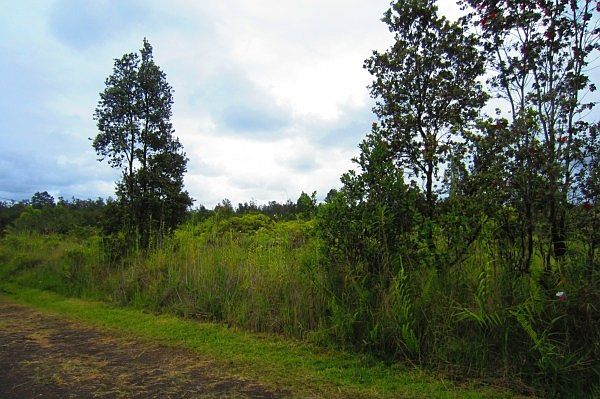 1st image of Road 9 Koloa Maoli Lot 5319